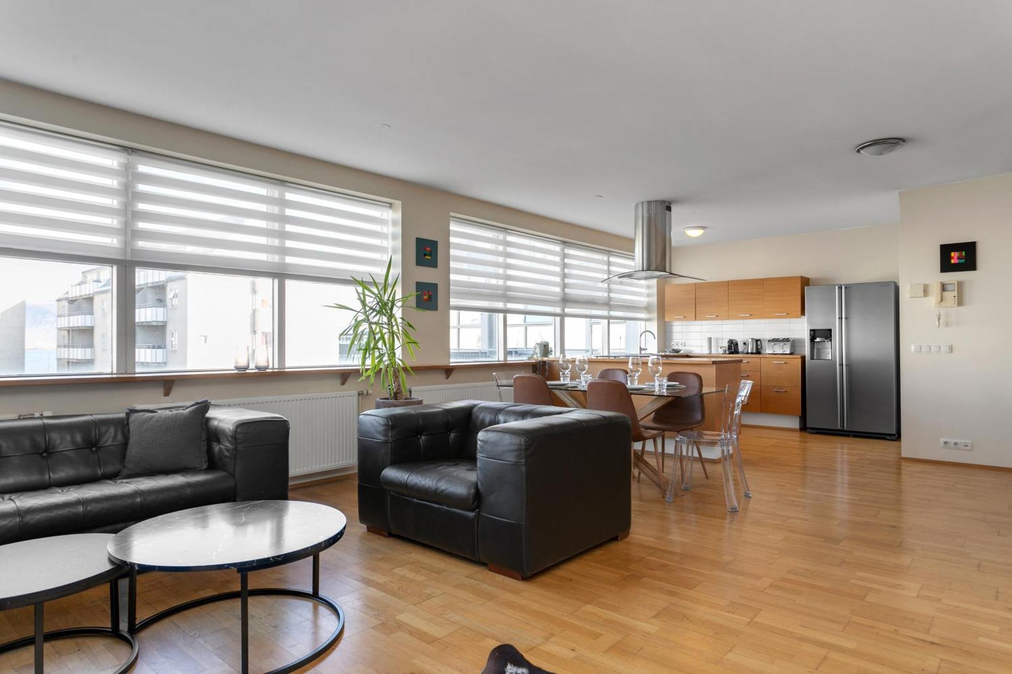 Baldursbra Apartment Hverfisgata 雷克雅維克 外观 照片